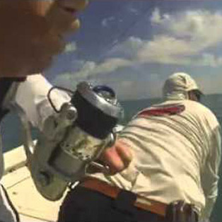 Bahia-Honda-Tarpon-Video