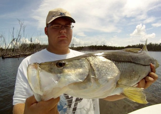 Snook 1