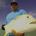 November Fishing Report For Marathon