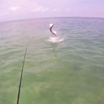 June Fishing Report For Marathon