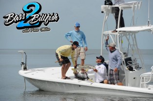 Bass2Billfish 1 copy