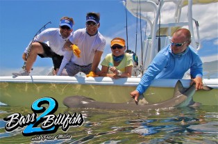 Bass2Billfish Shark copy