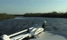 Everglades Fishing