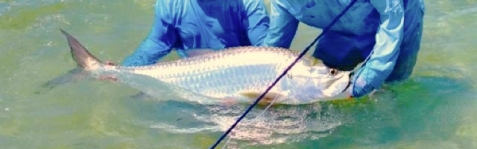 Spring Time Fishing