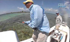 Tarpon Fly Fishing