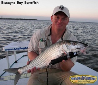 3. Bonefish Image