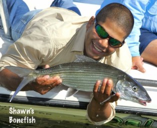 4. Bonefish Image