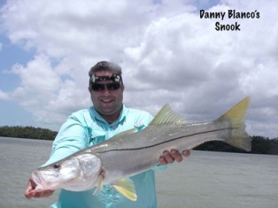 9. Snook Image