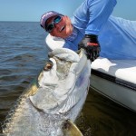 14. Tarpon Image