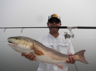 2. Redfish Image