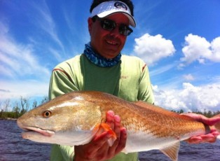 7. Redfish Image