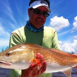 Redfish