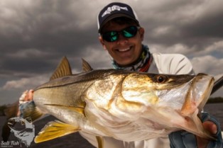 Everglades Snook Fishing