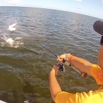 Florida Keys Tarpon Fishing 2