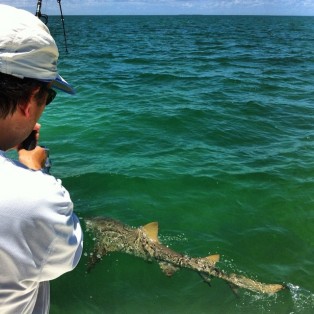 Shark Fishing Marathon FL
