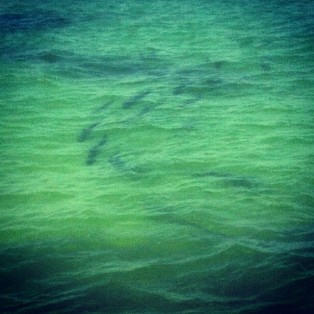 Marathon Tarpon Fishing 5