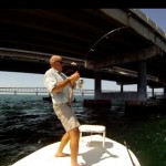 Big Tarpon Light Tackle