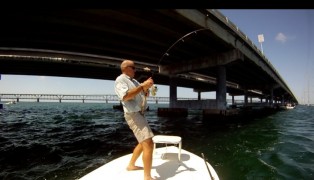 Big Tarpon Light Tackle