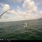 Florida Tarpon Fishing