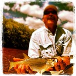Juvenile Tarpon Fishing