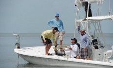 Bass2Billfish TV Everglades
