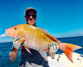 Mutton Snapper On a Wreck
