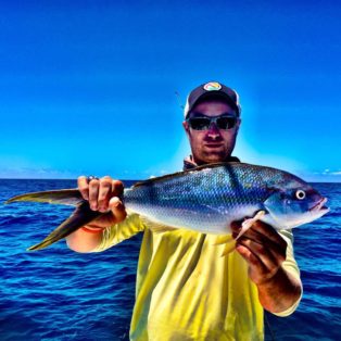 Marathon Fun Fishing Charters Yellowtail Snapper