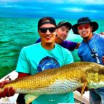 Bull Redfish