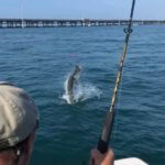 Tarpon Season 2019 Bahia Honda Bridge