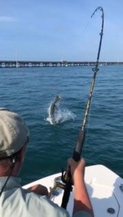 Light tackle Tarpon fishing