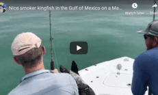 Nice Kingfish in Marathon FL.