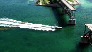 Bahia Honda Bridge 36 Yellowfin Pole Stripper